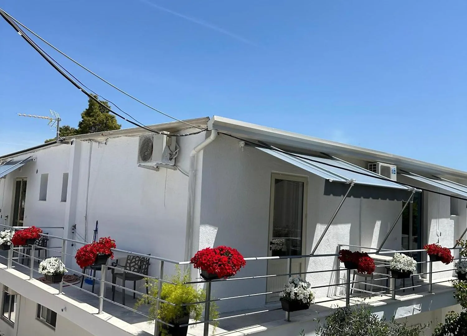 Swan Rent Rooms Vlorë 0*,