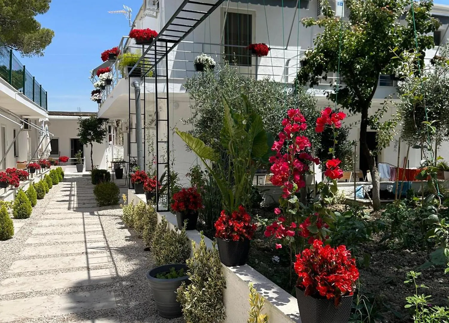Apartmán Swan Rent Rooms Vlorë Albánie